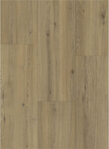 Gelmae 13608 Disentis Oak