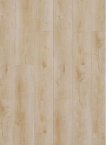 Dynamic 2500 (dryback) Natural light