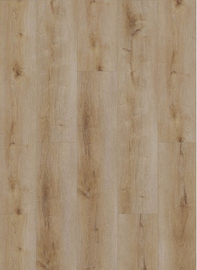 Dynamic 2501 (dryback) Natural smoked